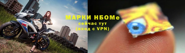 прущий лед Алзамай