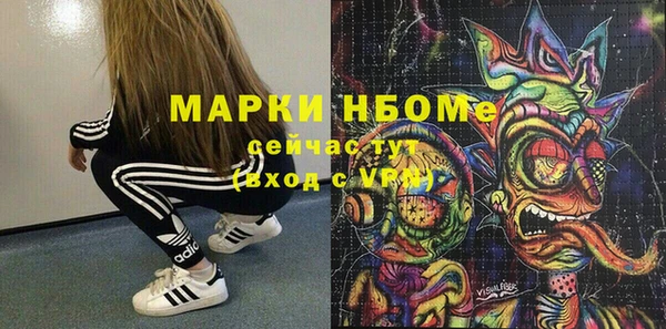 прущий лед Алзамай