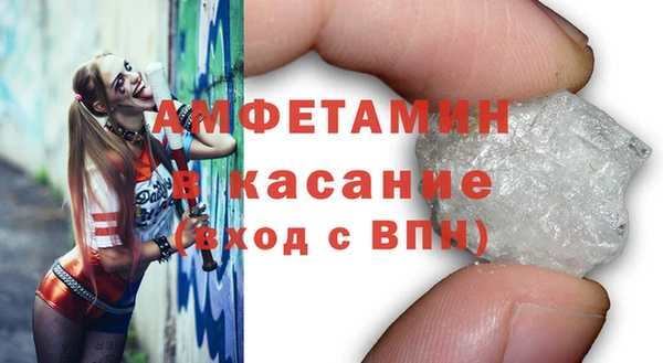 сатива Козловка