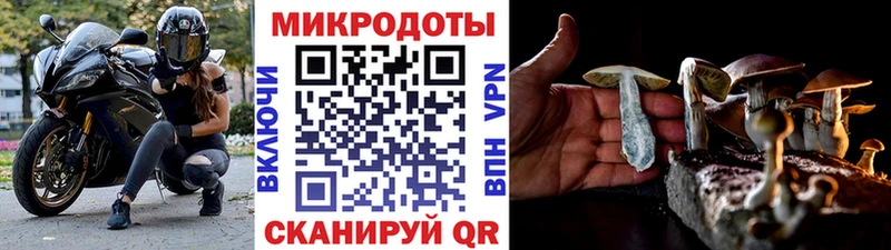 Галлюциногенные грибы ЛСД  цена наркотик  Арзамас 